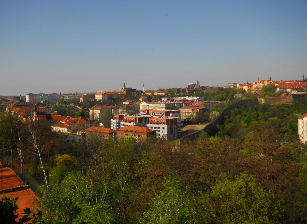 Pohled z Vyšehradu na Albertov