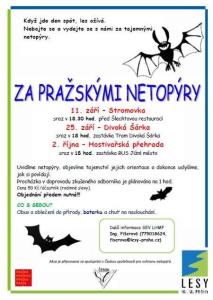 netopyri_jpg
