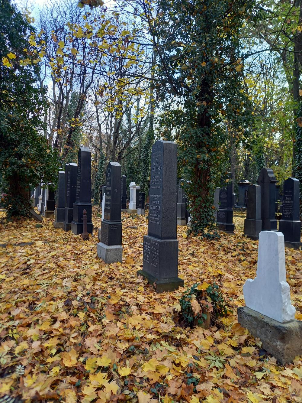 nový židovský hřbitov_po_11