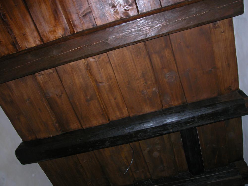 DSCN8666