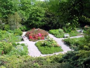 pet_14_5_2004_kvetnice_zhora01_jpg
