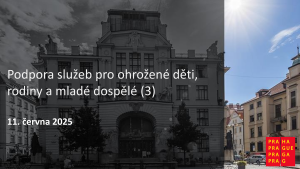 4.Prezentace_Podpora služeb pro ohrožené děti, rodiny